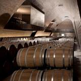 Cantina Antinori