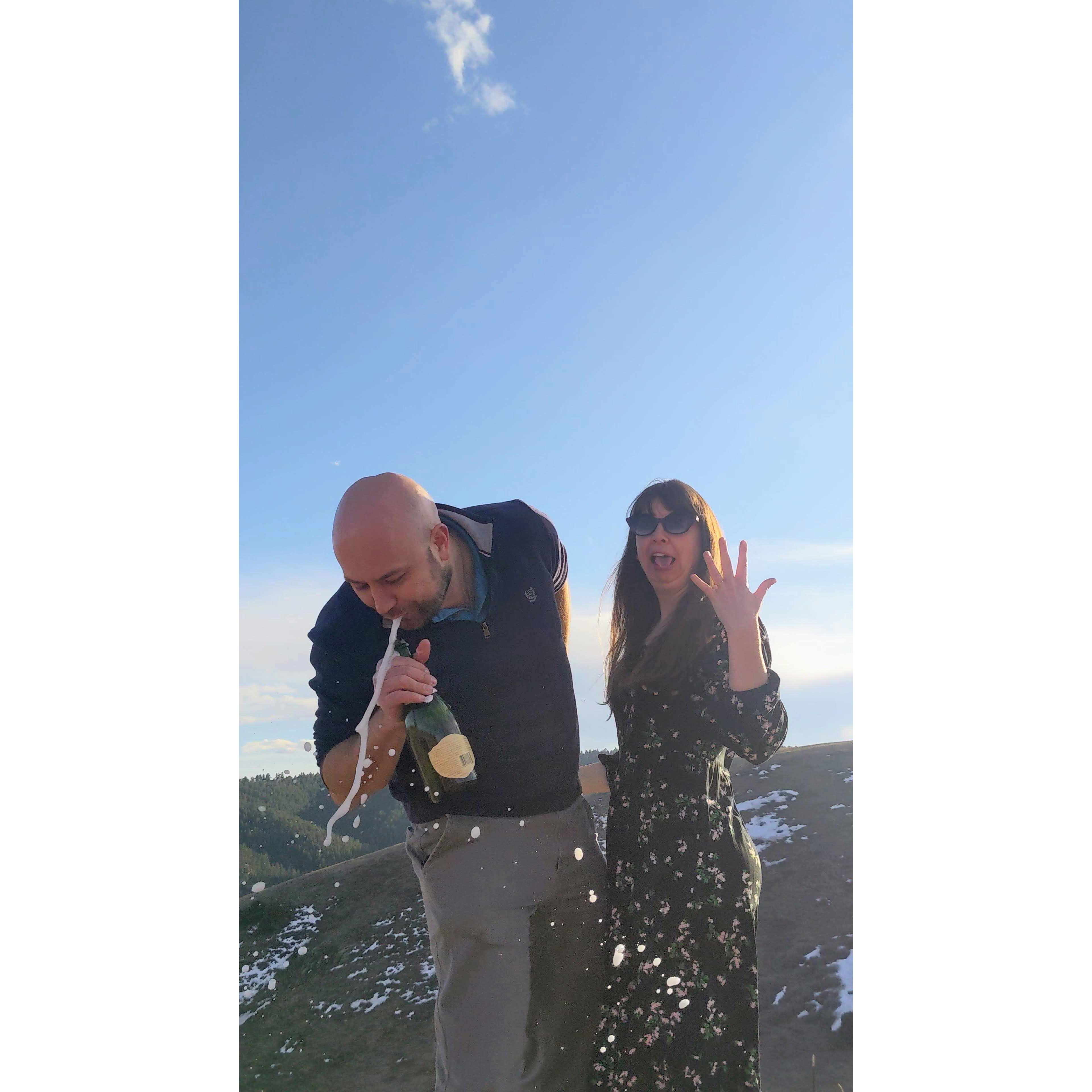 We're engaged!
