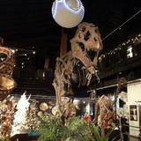 Houston Museum of Natural Science