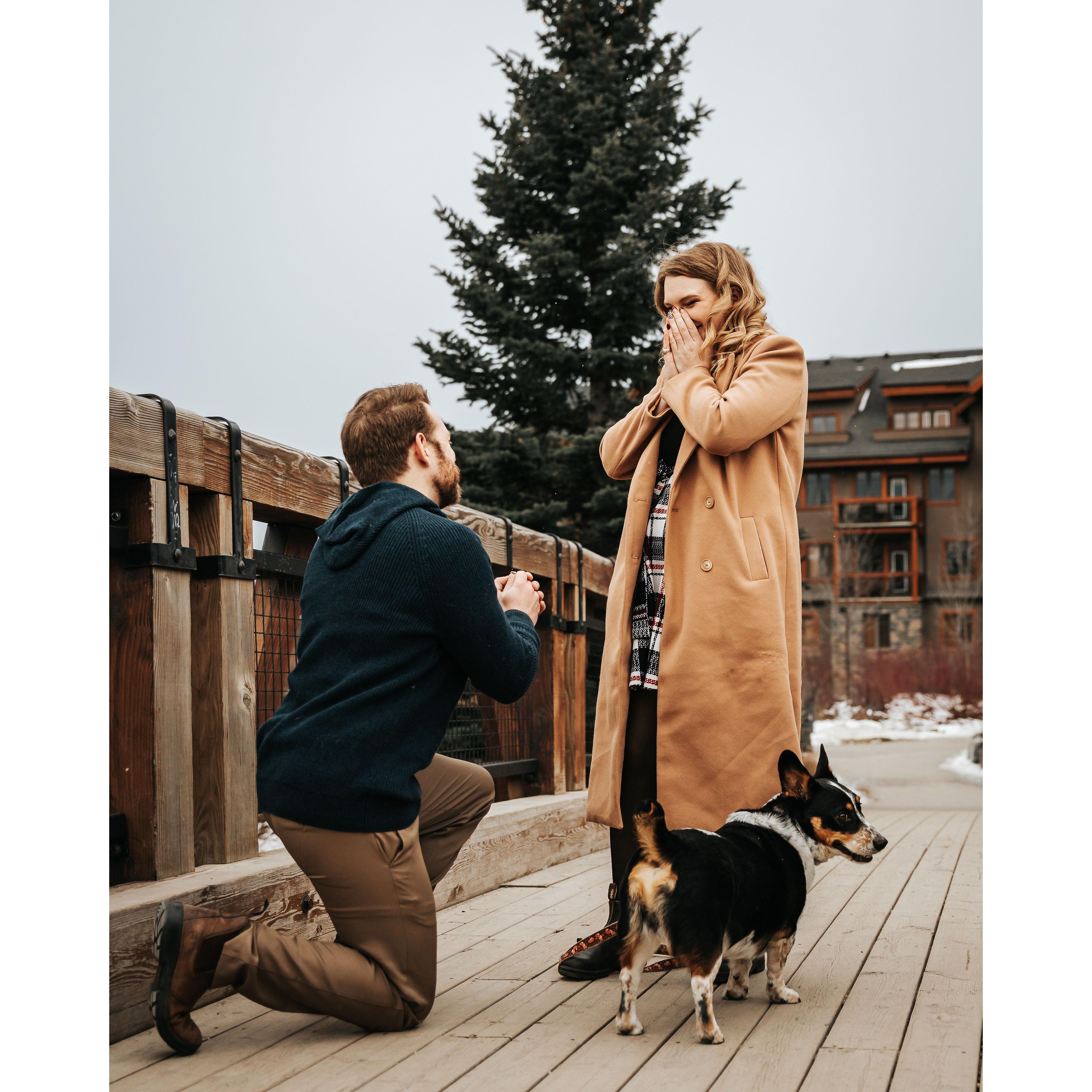 Photo by Joel Godri https://joelgodri.wixsite.com/portfolio