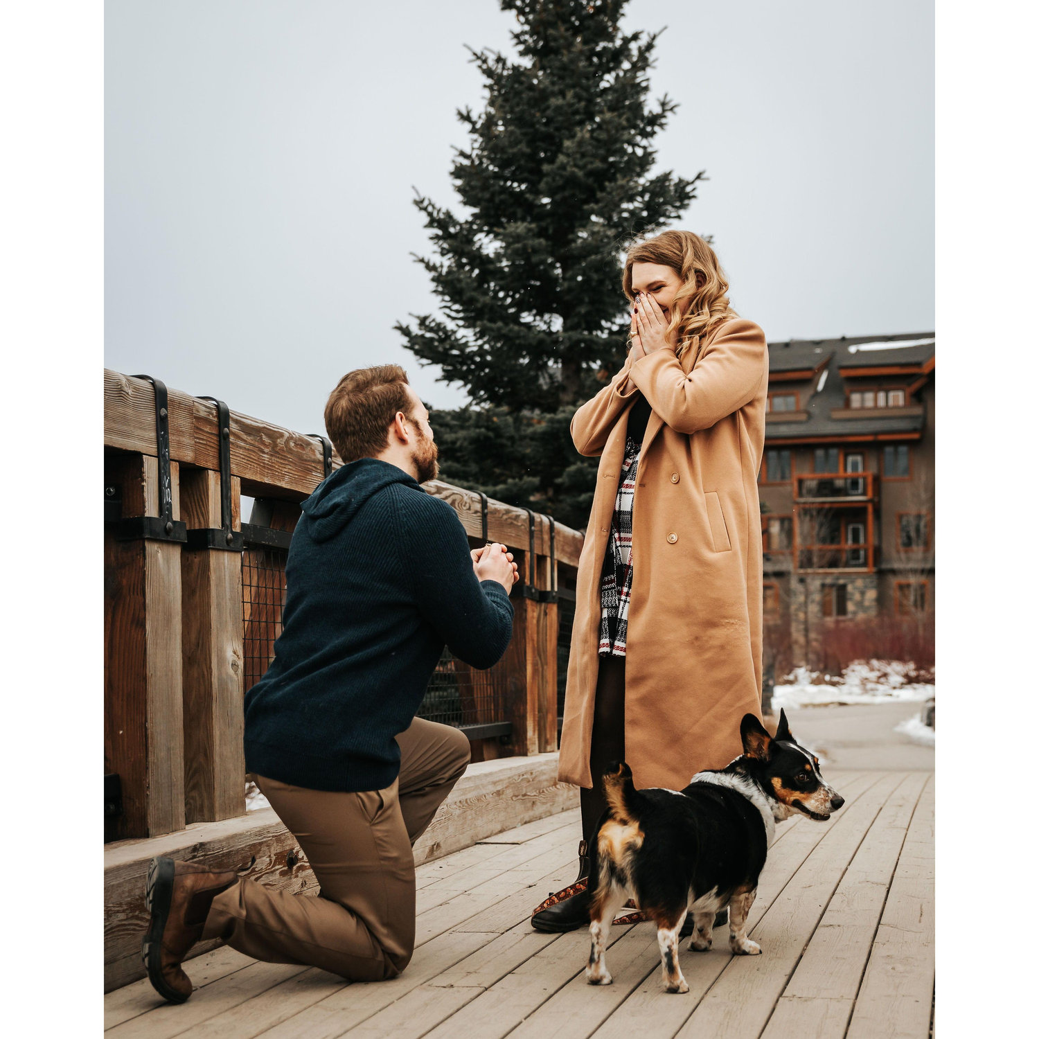 Photo by Joel Godri https://joelgodri.wixsite.com/portfolio