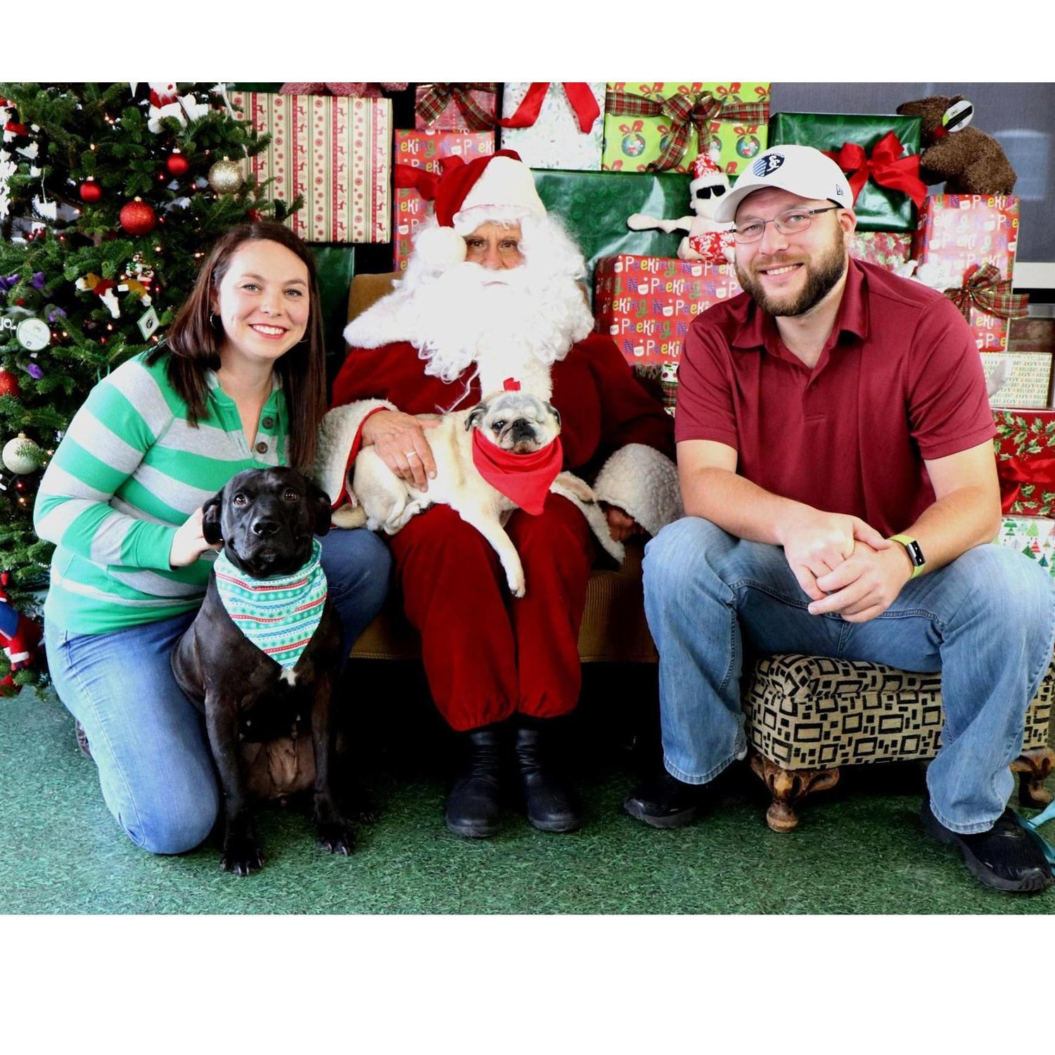 First family photo with Santa...Callie (black) and Spencer (pug).