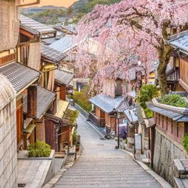 Experiences in Japan