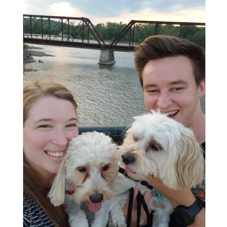 Dog-sitting our favorite pups!