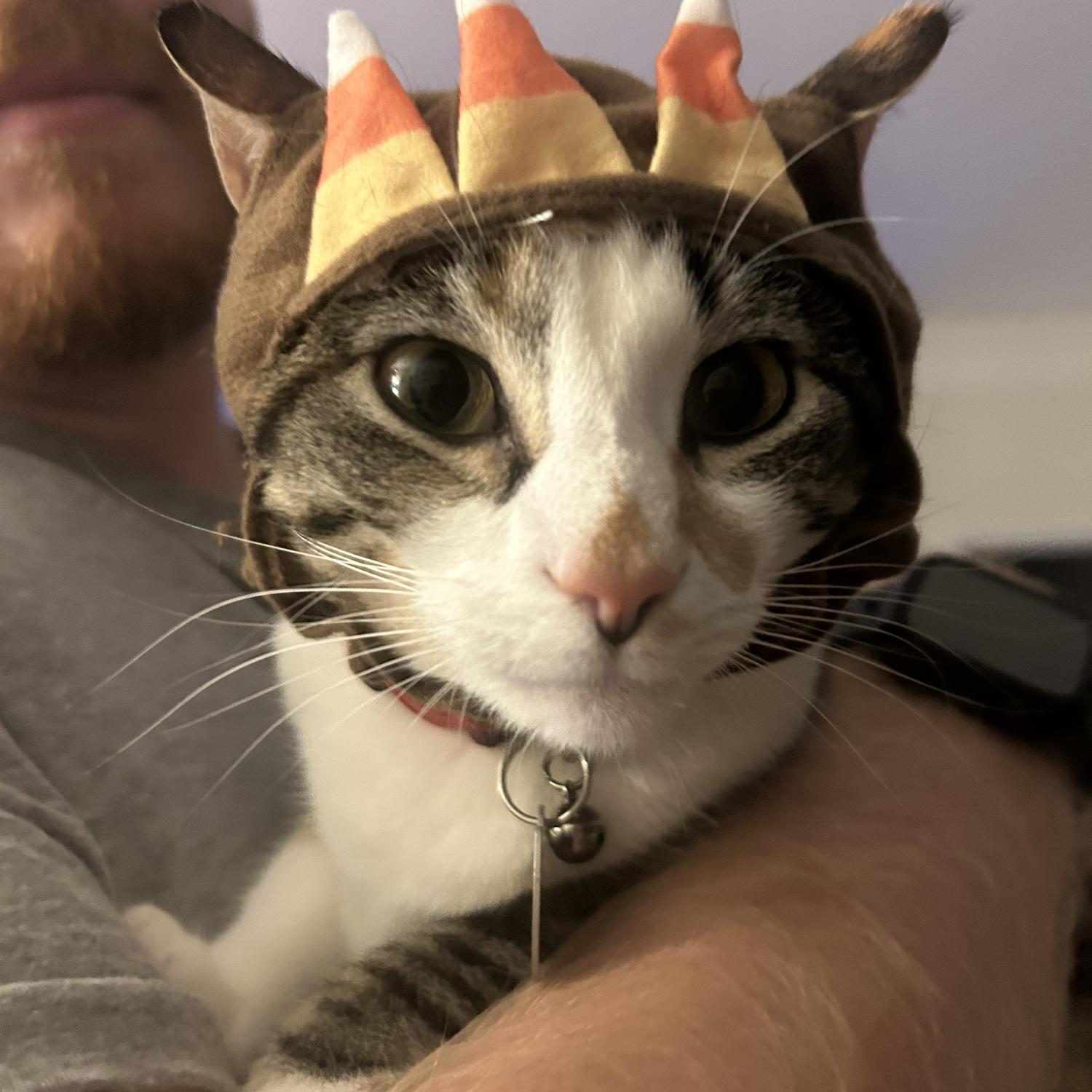 Winnie in her candy corn hat