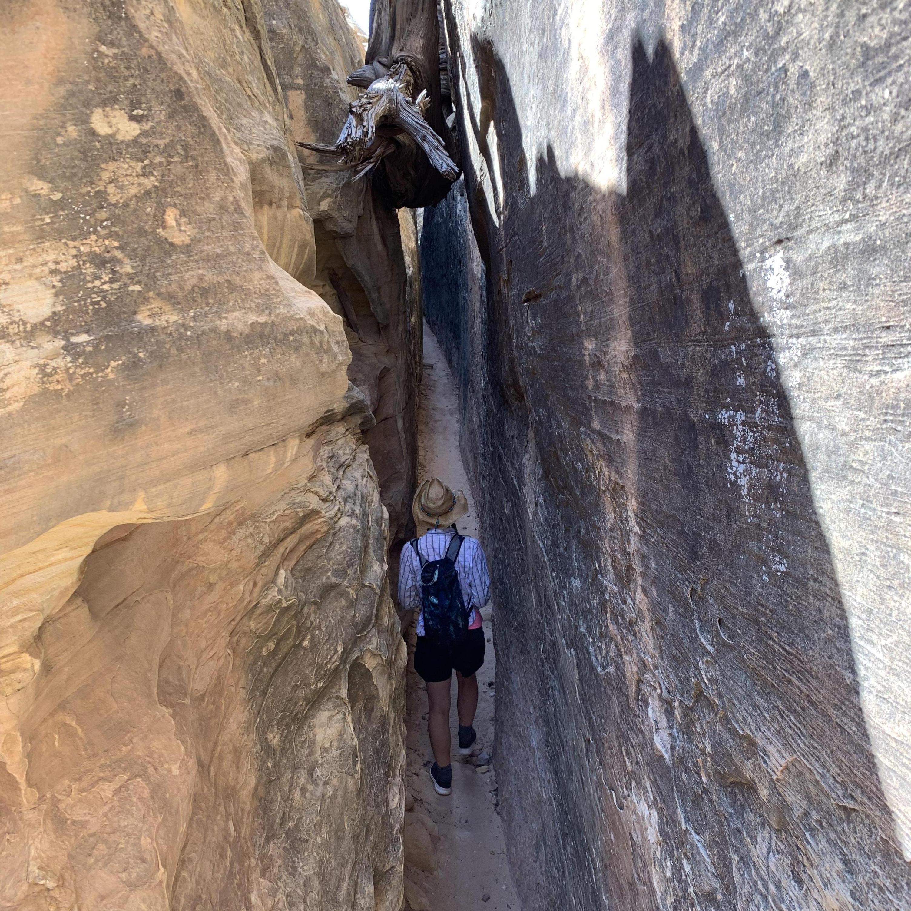 Honey I shrunk the trail.