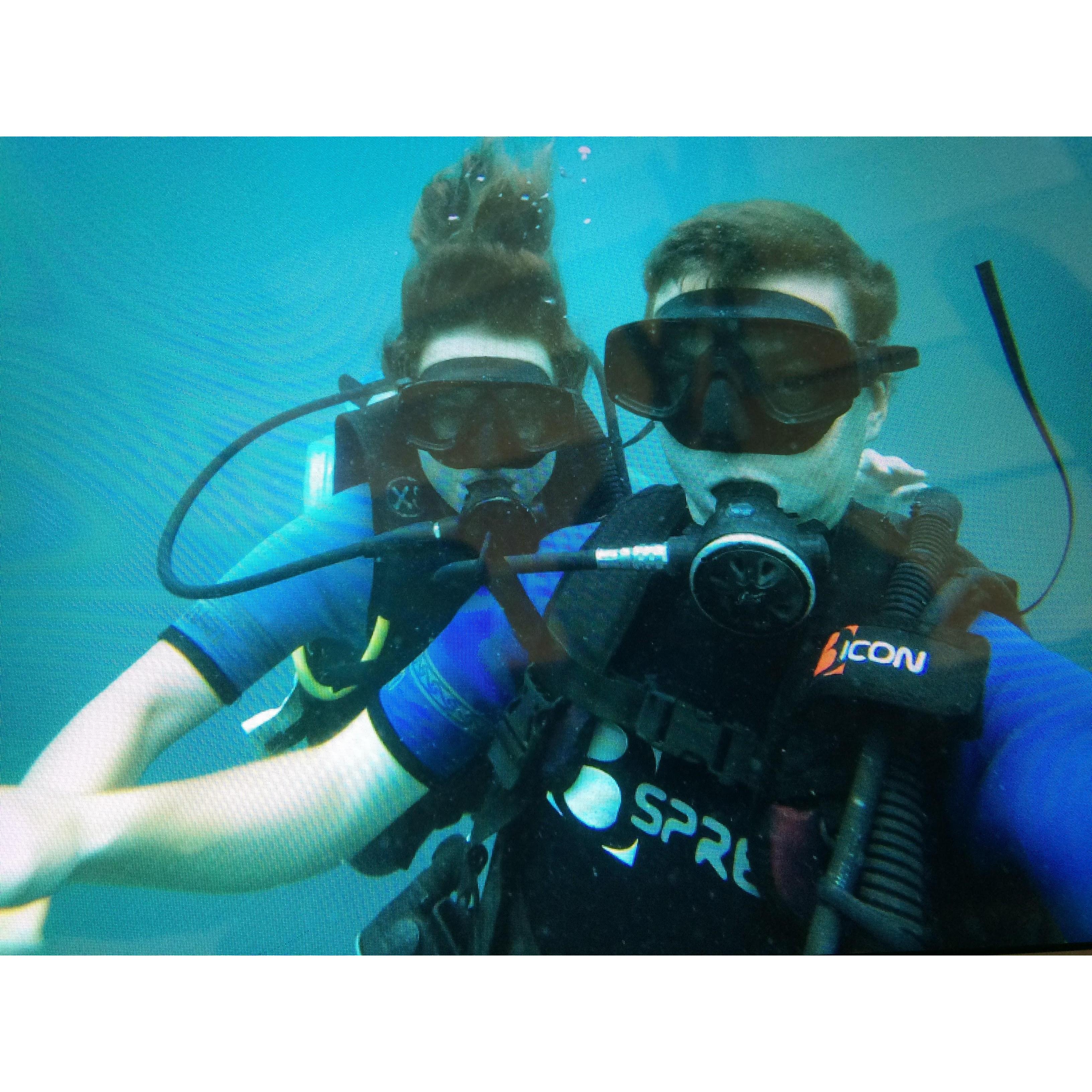 Fiji 2016