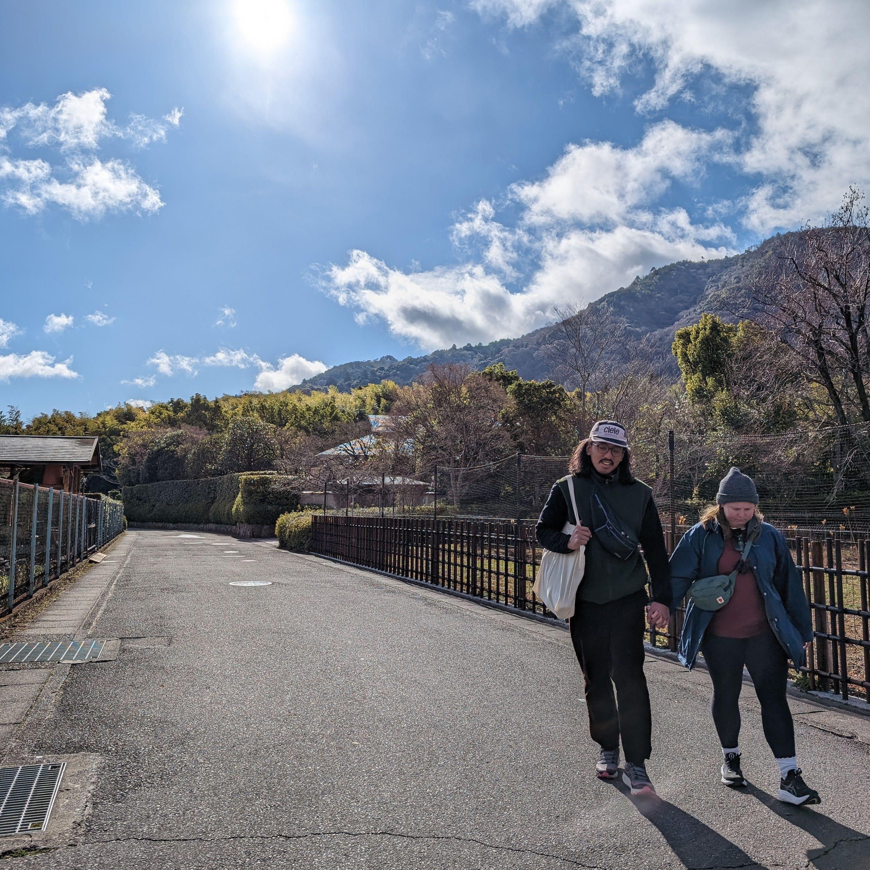 Bamboo Forest in Kyoto, Japan