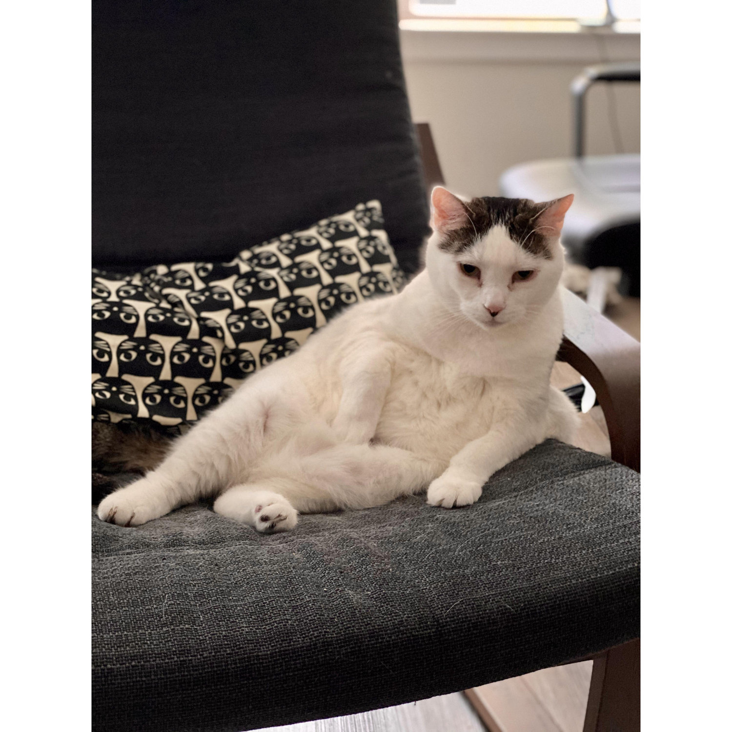 Moon being an icon.