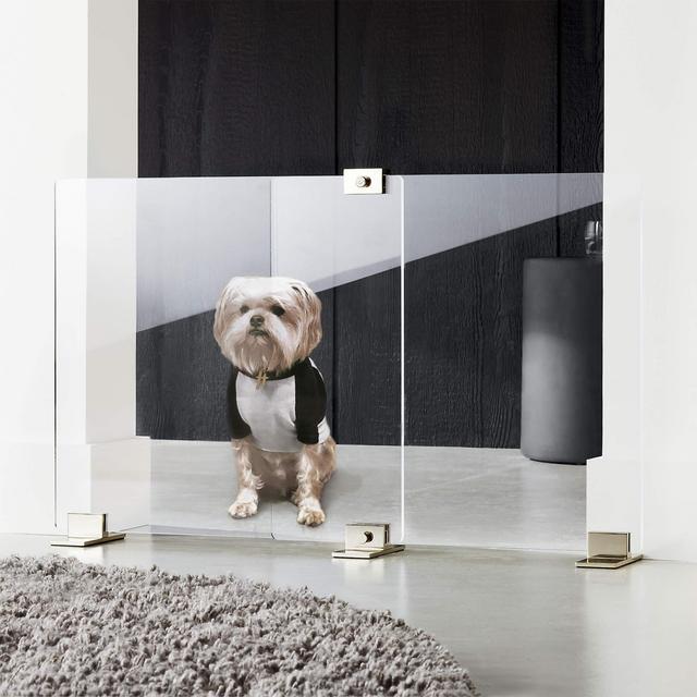 Keep 'Em Out/In Decorative Divider Clear