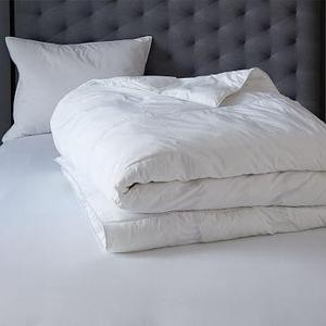 Premium Botanical Down Alternative Comforter, King