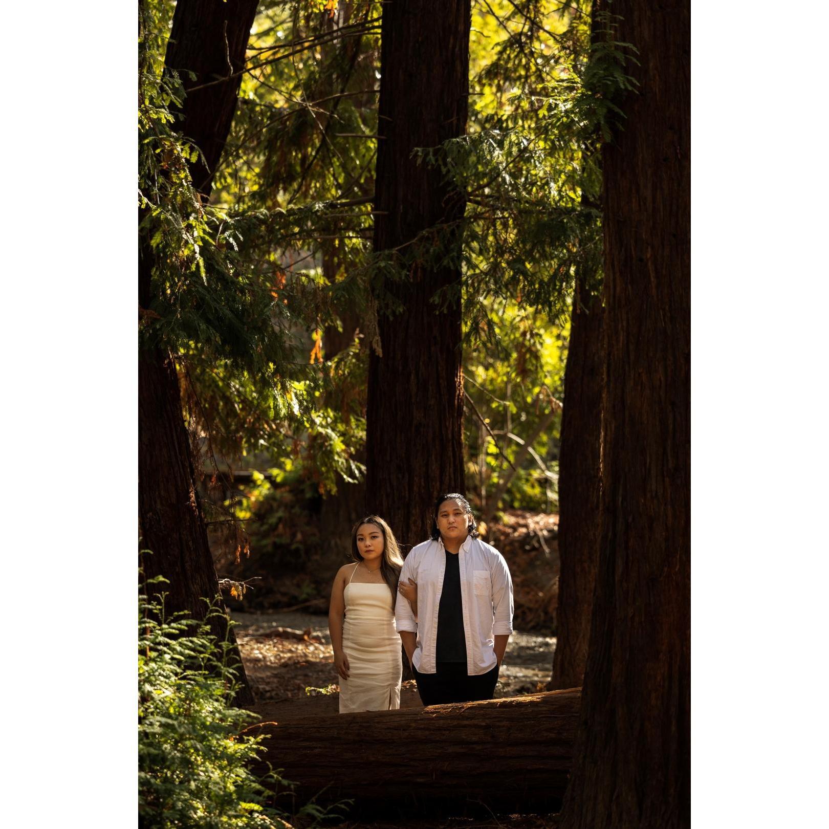 Engagement Photoshoot at Redwood Grove!