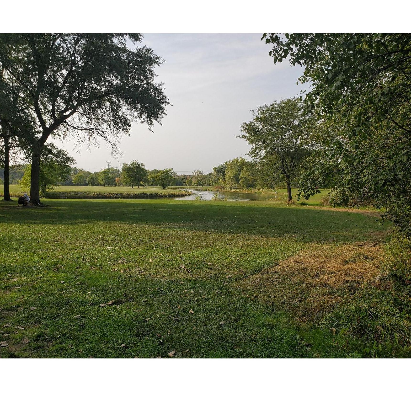 Here is the spot where our party will be! We will have a tent, lots of seating, music, food, and fun!