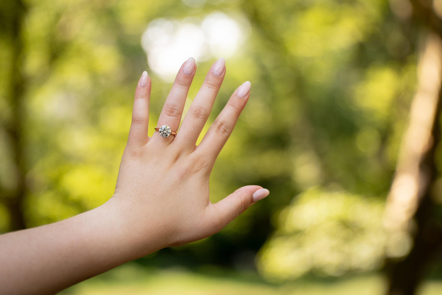 The Wedding Website of Ashley Lopez and Jose Rodriguez