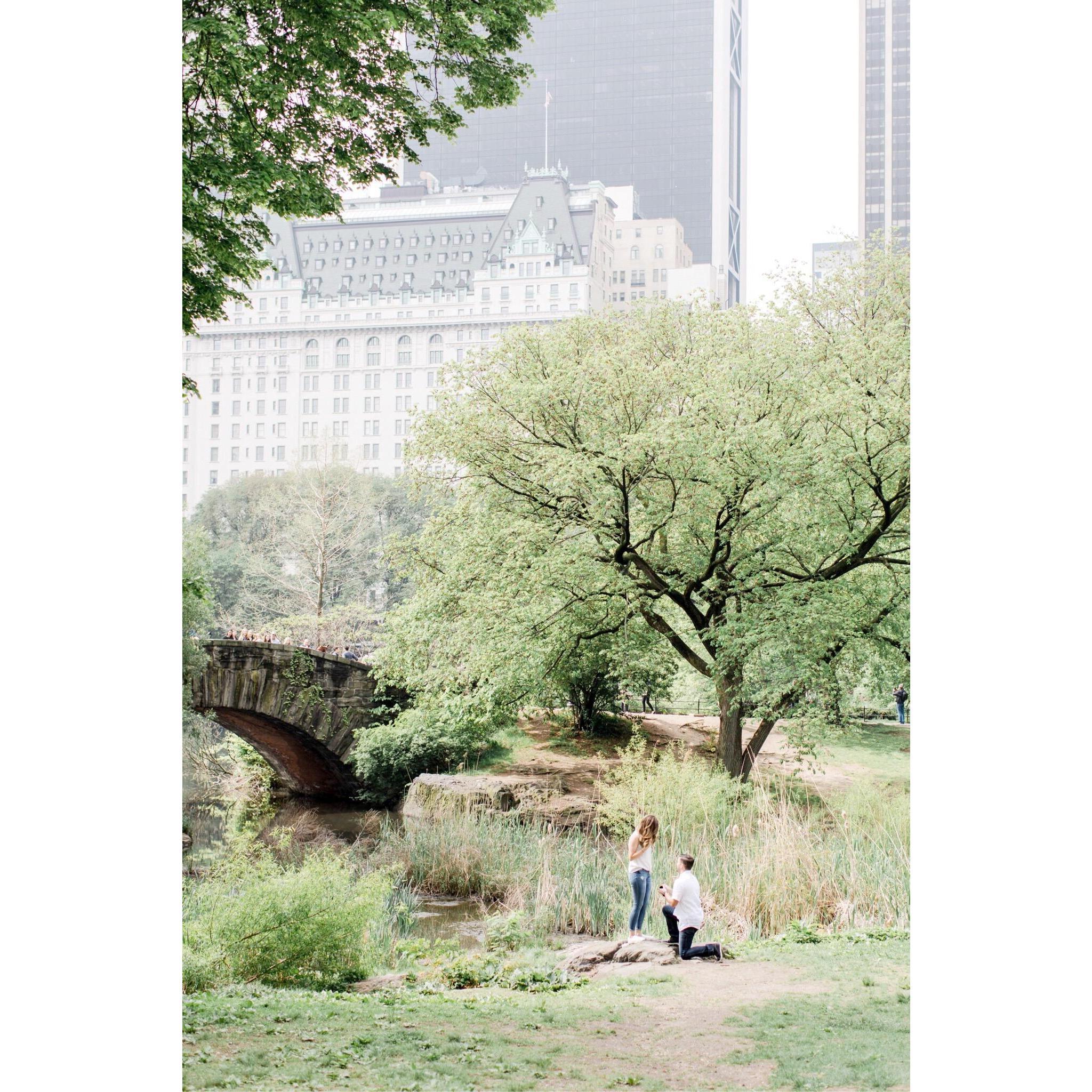 Our proposal in Central Park!
