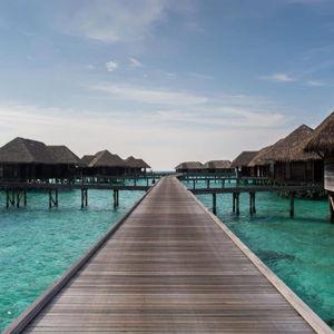 Honey Moon In Bora Bora!