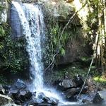 Tamborine Mountain