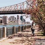 Roosevelt Island Walkway