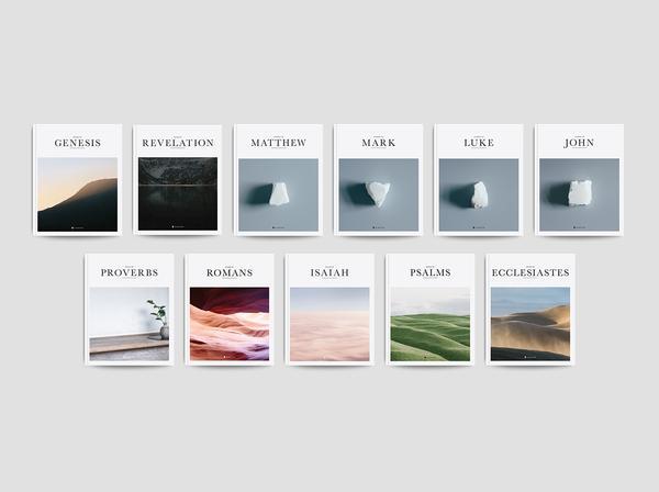 Alabaster Eleven Book Collection