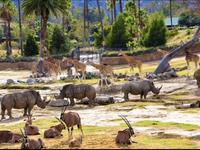 San Diego Zoo