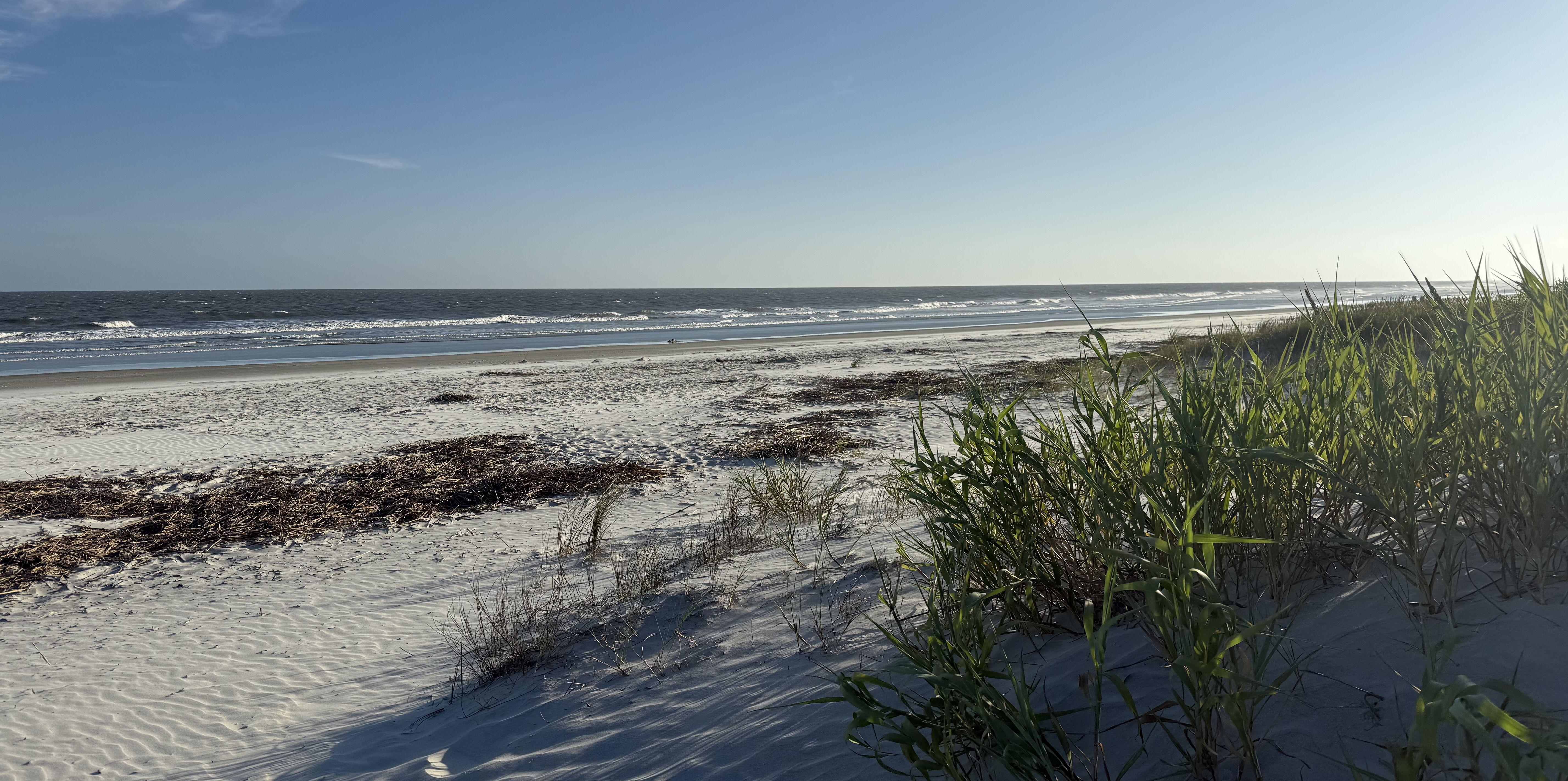 The Wedding Website of Madison Turner and Stephen Maser