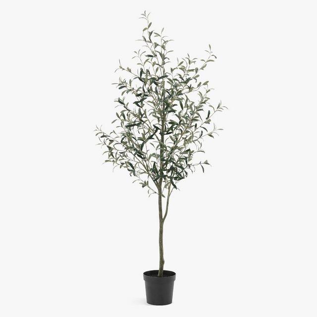 Faux Potted Olive Tree, 6', Green