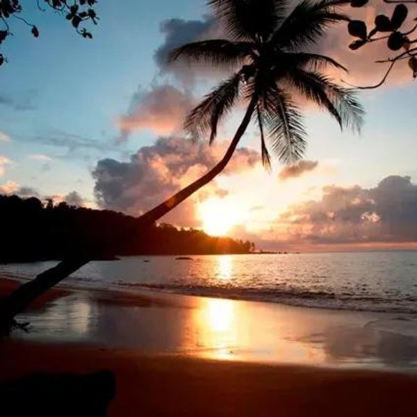 Costa Rica Trip!