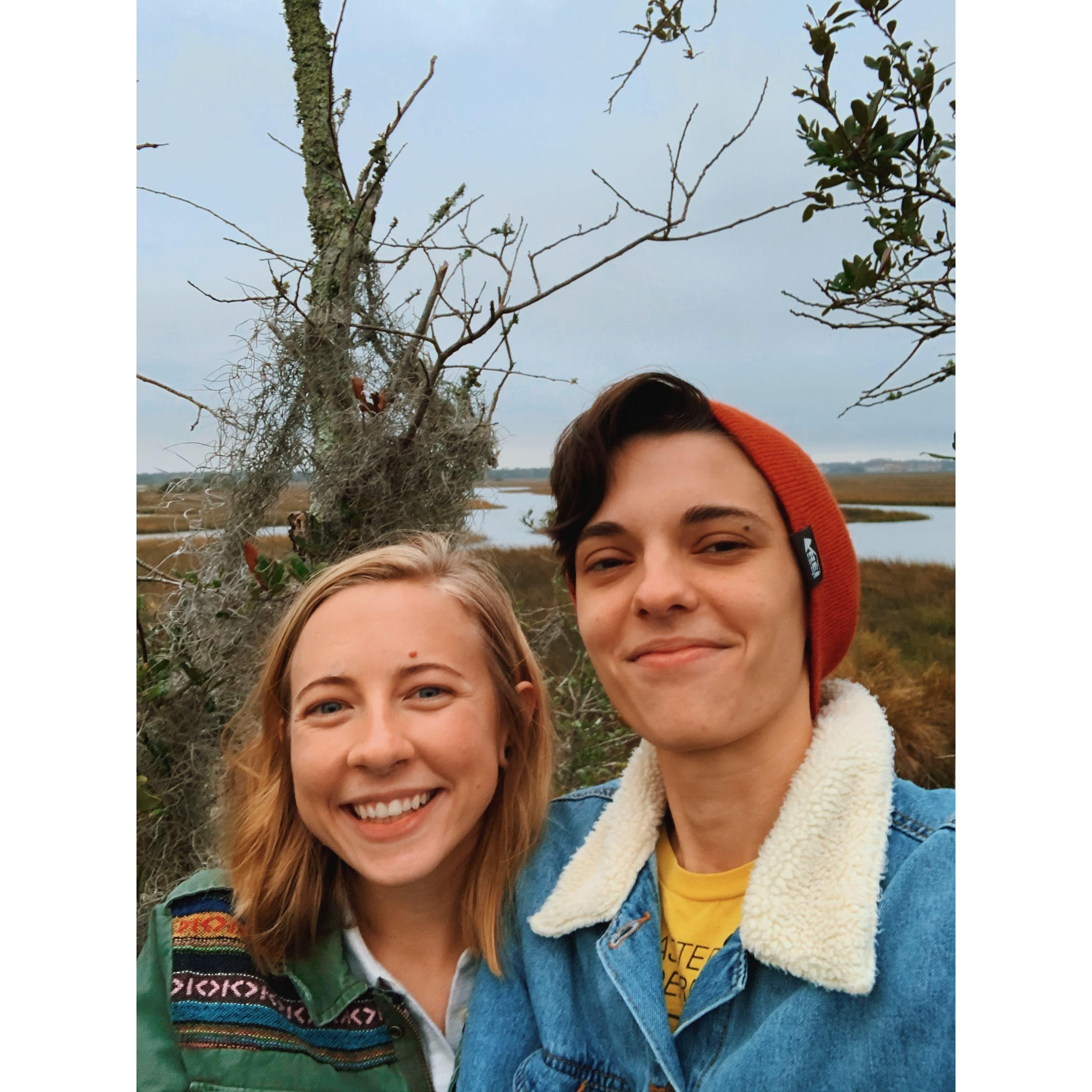 In a tree off the hiking path in Dutton Island
