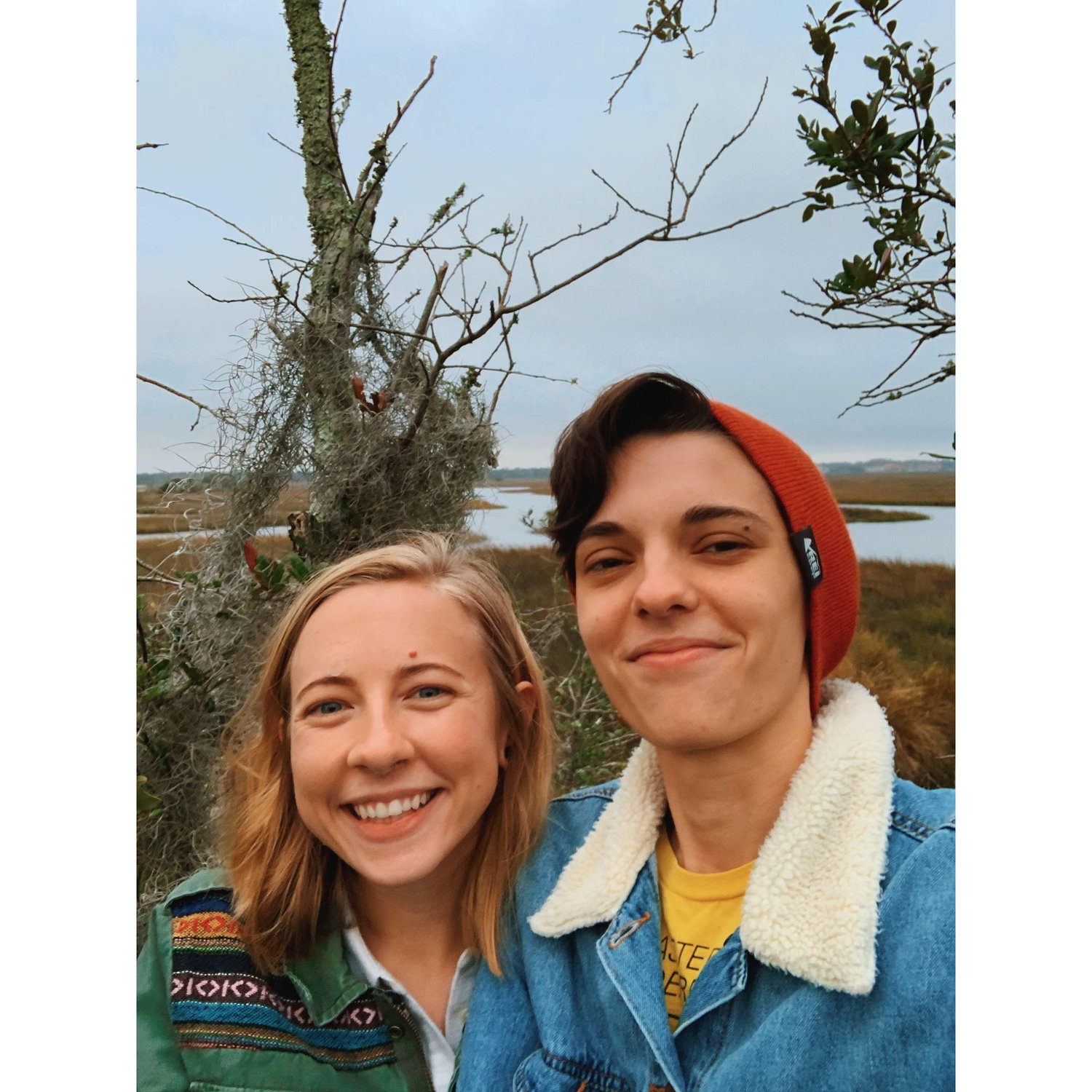 In a tree off the hiking path in Dutton Island