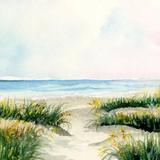Sullivan's Island