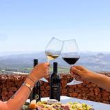 Wild Diamond Vineyards