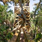 Myakka River State Park