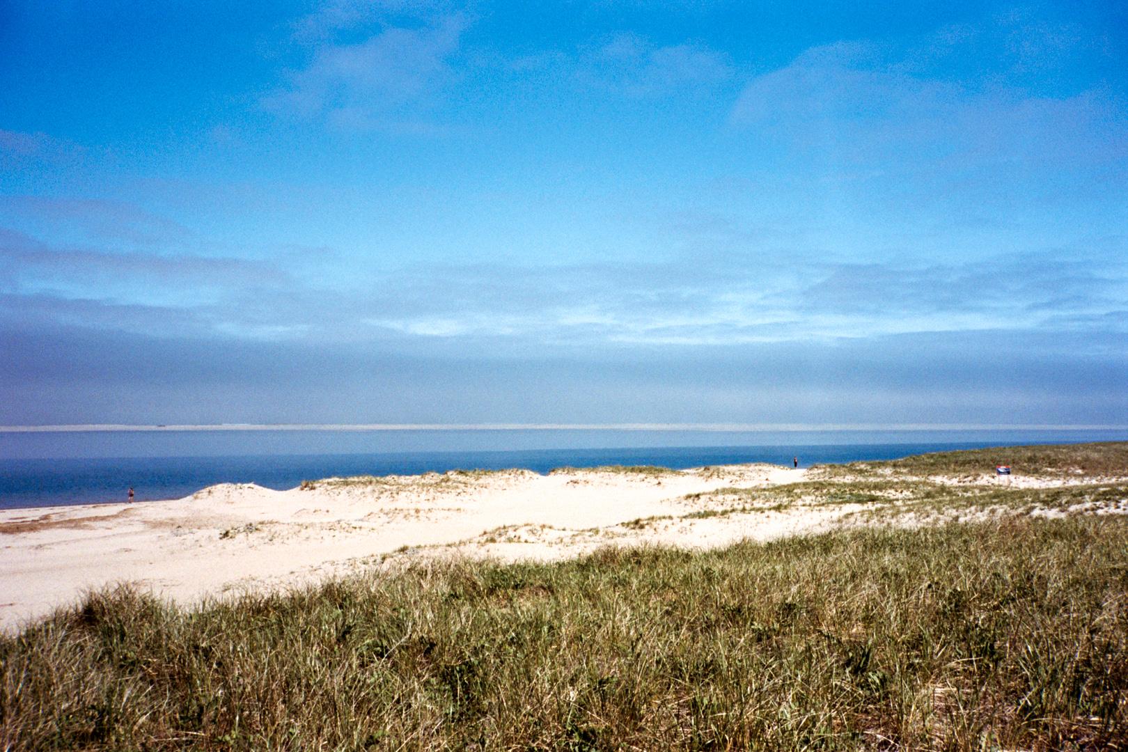 The Wedding Website of Andrew Ross and Madeline Plansky