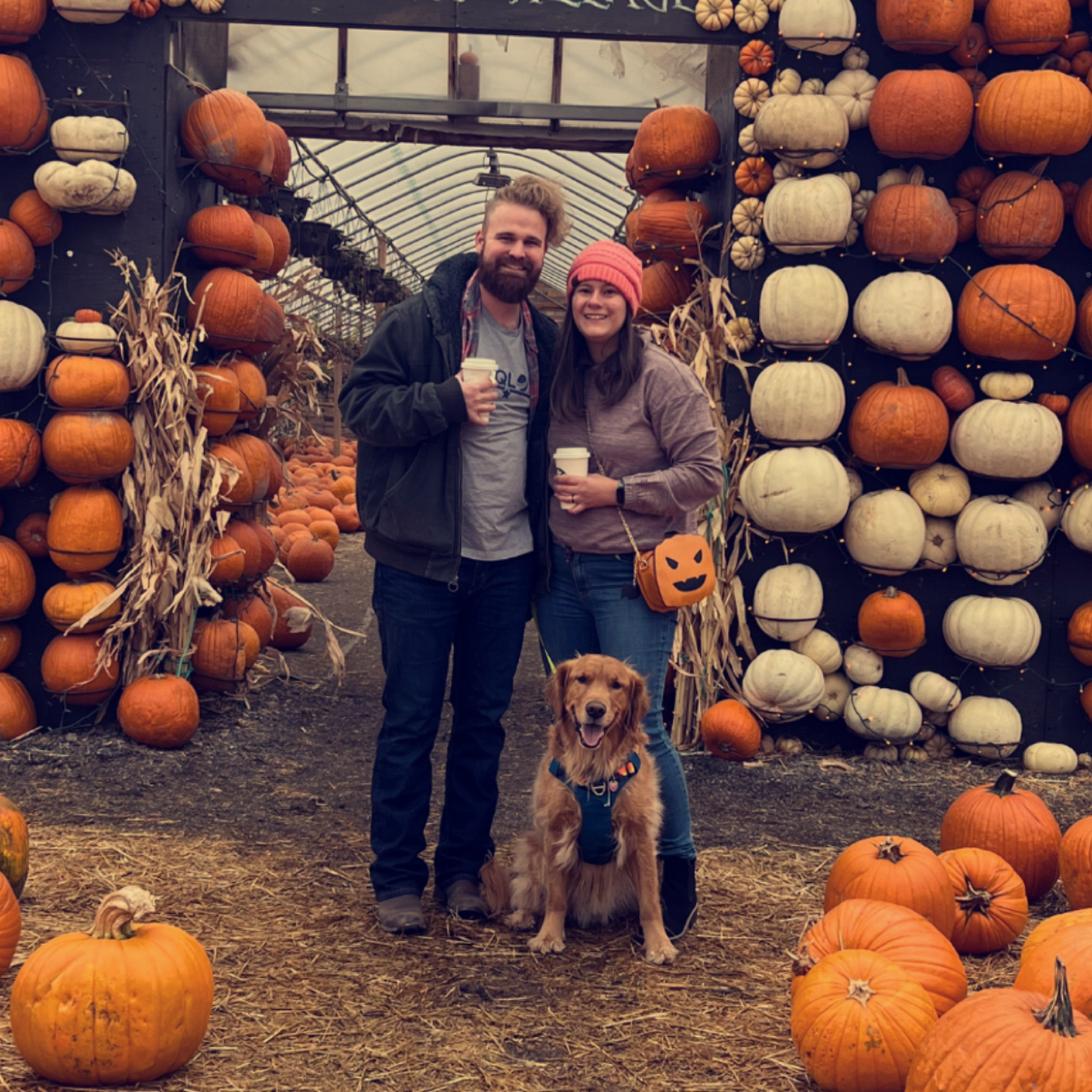 Pumpkin Patch with Forest in October, 2022