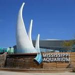 Mississippi Aquarium