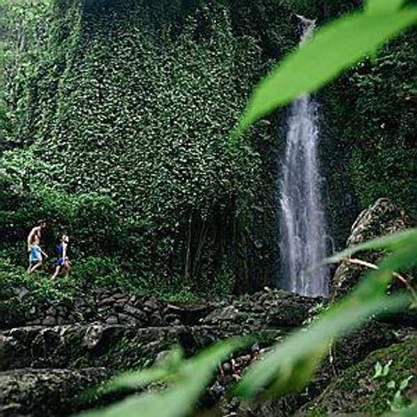 St Vincent Honeymoon: Local Adventure Tour