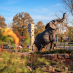 STL Zoo