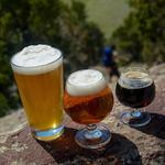 Breweries, Cideries, and More!