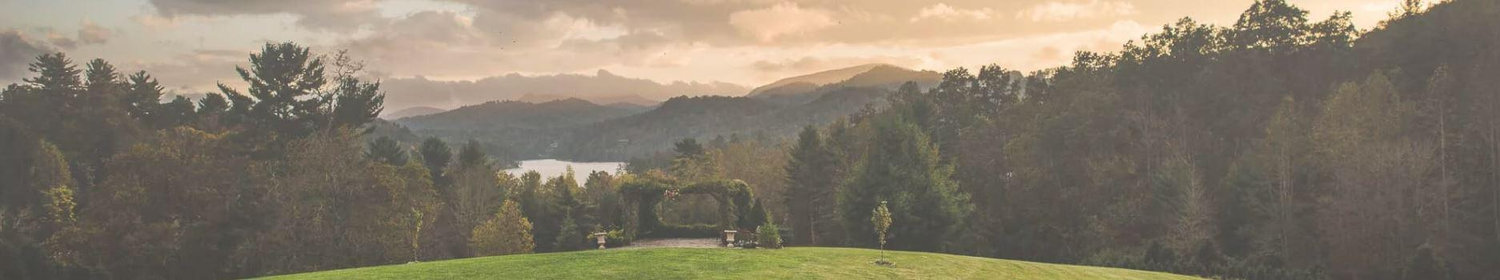 The Wedding Website of Allison Moore and Adam Cline