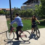 Stanford University