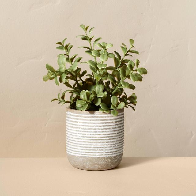 7.5" Mini Faux Jade Potted Plant - Hearth & Hand™ with Magnolia
