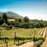 Wineries