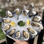 Tomales Bay Oyster Farms