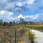 Northerly Island Park