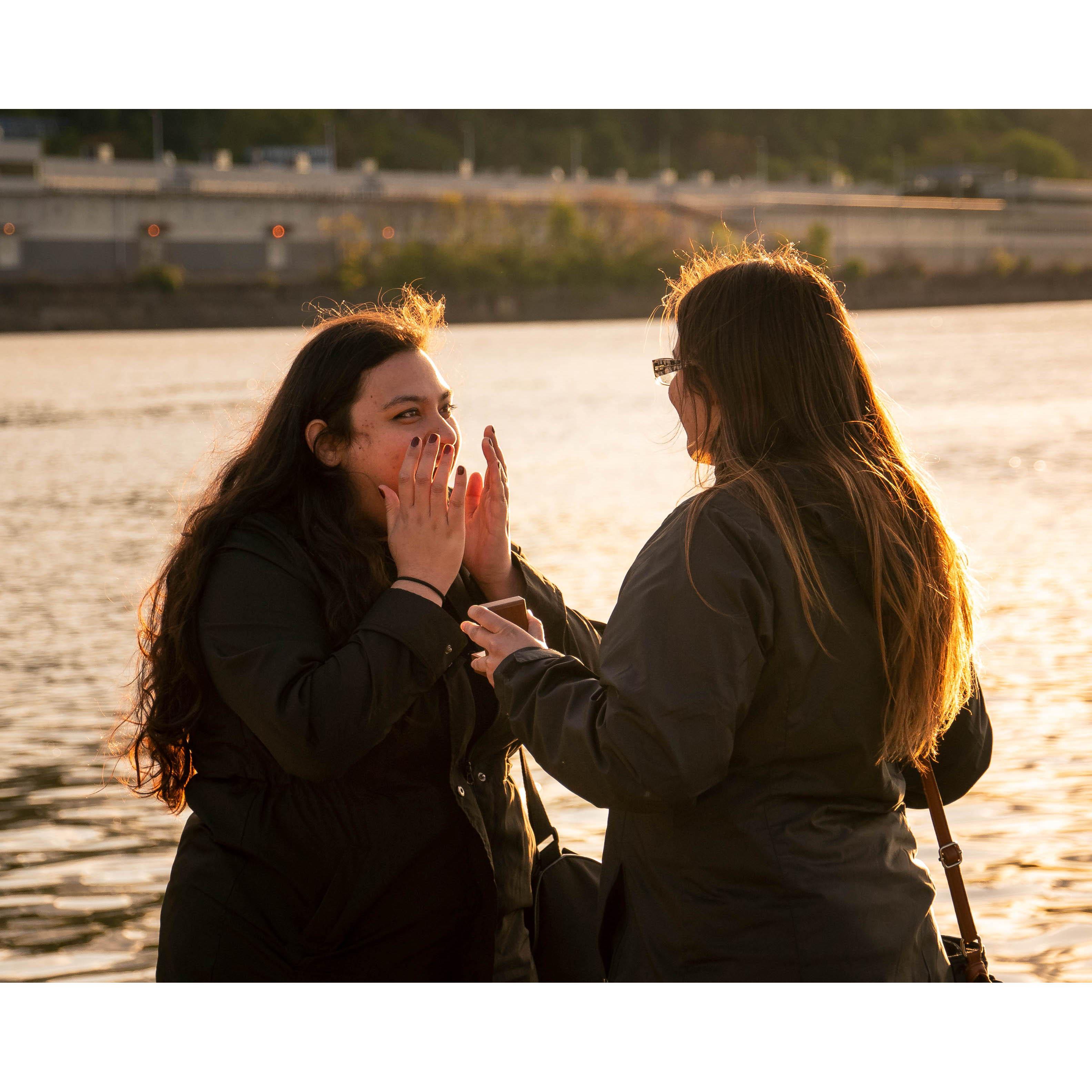 Surprise Proposal