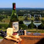 Bluemont Vineyard
