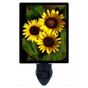 Night Light - Photo Light - Organics Sunflower - Fall Garden