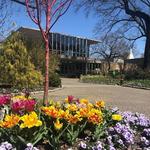 Memphis Botanic Garden