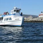 Acadian Boat Tours