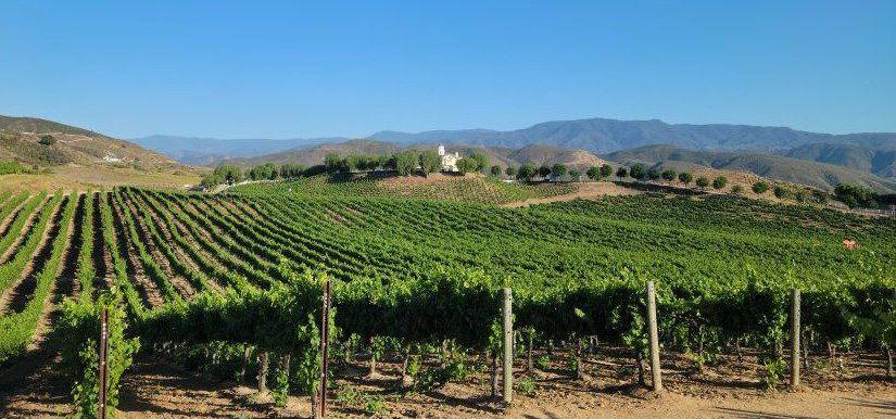 The Wedding Website of Alexis Ann Jugan and Gary Winston Schell